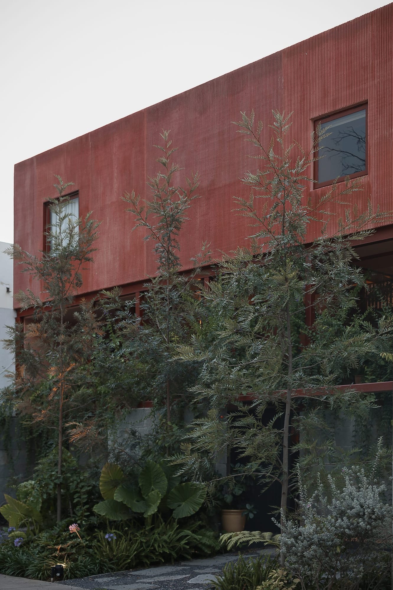 CASA ENZO
